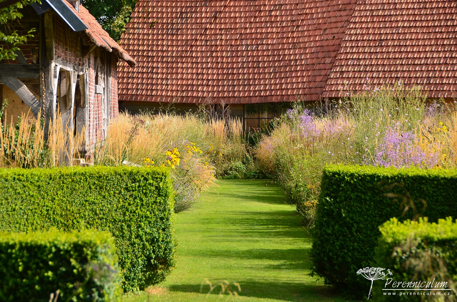 Le Jardin Plume - venkovské kouzlo s podtónem francouzské formální zahrady 12 Pohled z Jarní zahrady do Zahrady peří, kde dominují vysoké prérijní druhy trvalek.