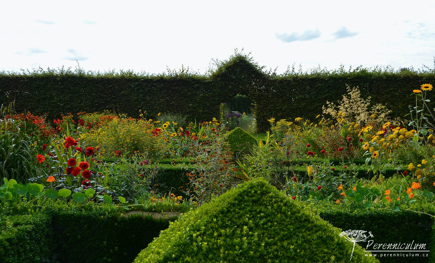 Le Jardin Plume - venkovské kouzlo s podtónem francouzské formální zahrady 13 Letní zahrada musela být na konci srpna v tom nejlepším. Ohňostroj teplých barev protkává nízký buxusový plůtek.