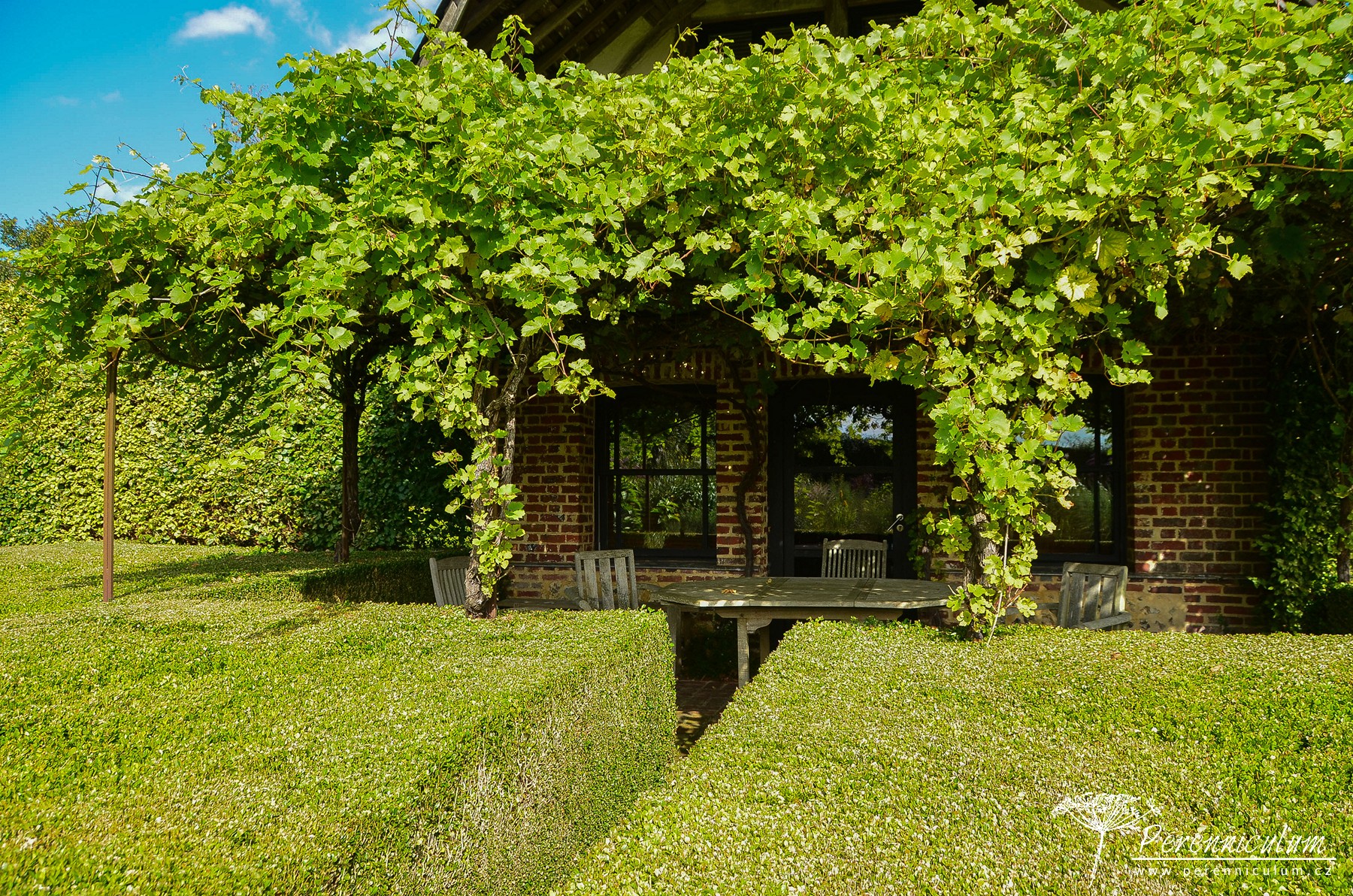 Le Jardin Plume - venkovské kouzlo s podtónem francouzské formální zahrady 17 Na západní straně domu je posezení s pergolou, kterou popíná vinná réva a obklopuje velký blok stříhaného buxusu.