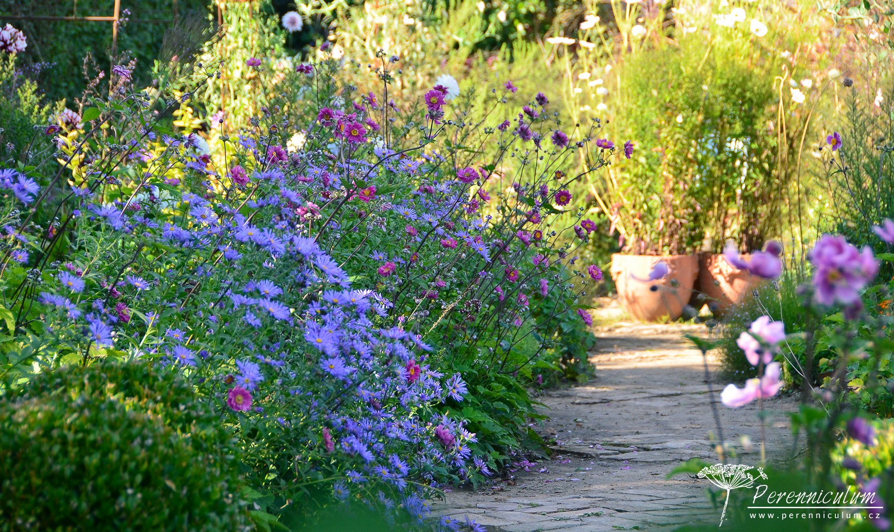 Le Jardin Plume - venkovské kouzlo s podtónem francouzské formální zahrady 19 Květinová zahrada nabízí různé květy v průběhu celého roku.