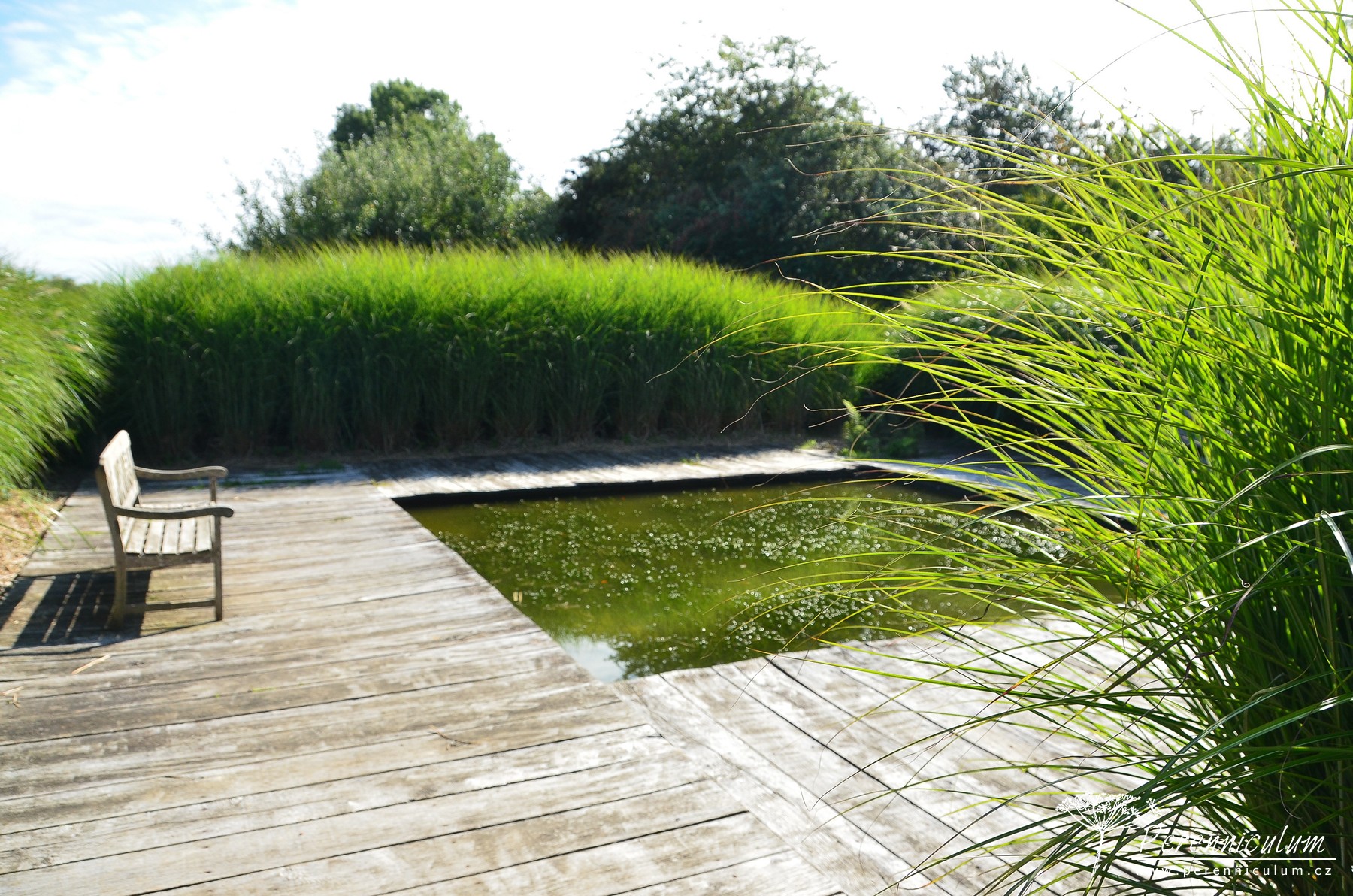 Le Jardin Plume - venkovské kouzlo s podtónem francouzské formální zahrady 20 Uvnitř miscanthusového bludiště najdeme čtvercové vodní zrcadlo s dřevěnou lavičkou k rozjímání.