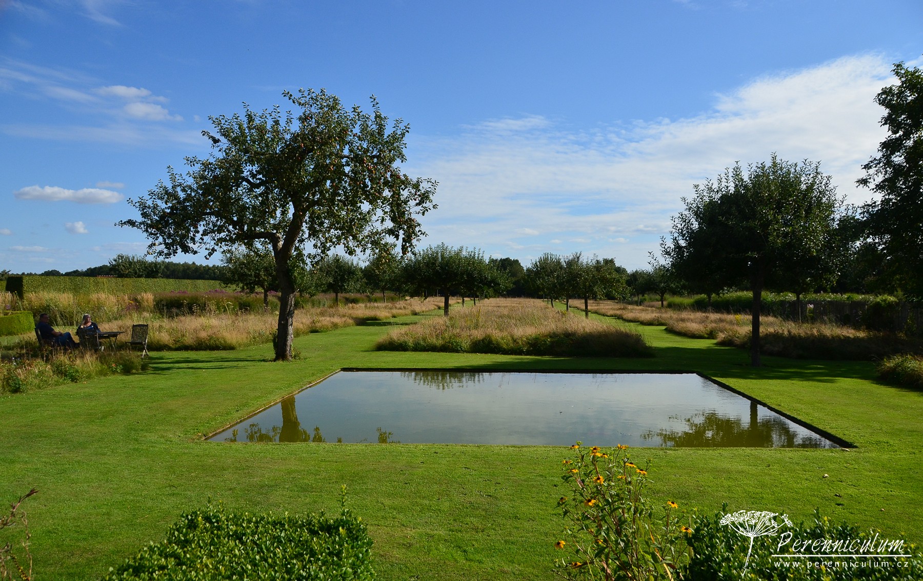 Le Jardin Plume - venkovské kouzlo s podtónem francouzské formální zahrady 3 Starému sadu majitelé vtiskli určitou formálnost nízce sečenými pruhy trávníku a čtverci lučních společenstev. Čtvercová vodní plocha jen podtrhuje tento jednoduchý koncept.