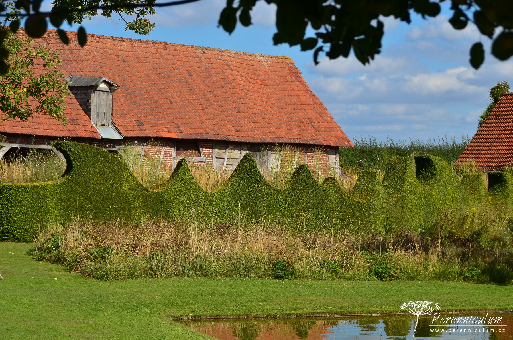 Le Jardin Plume - venkovské kouzlo s podtónem francouzské formální zahrady 9 Rozvlněný živý plot ohraničuje Zahradu peří a pomáhá vysokým trvalkám udržet tvar i v bouřích a silném větru.