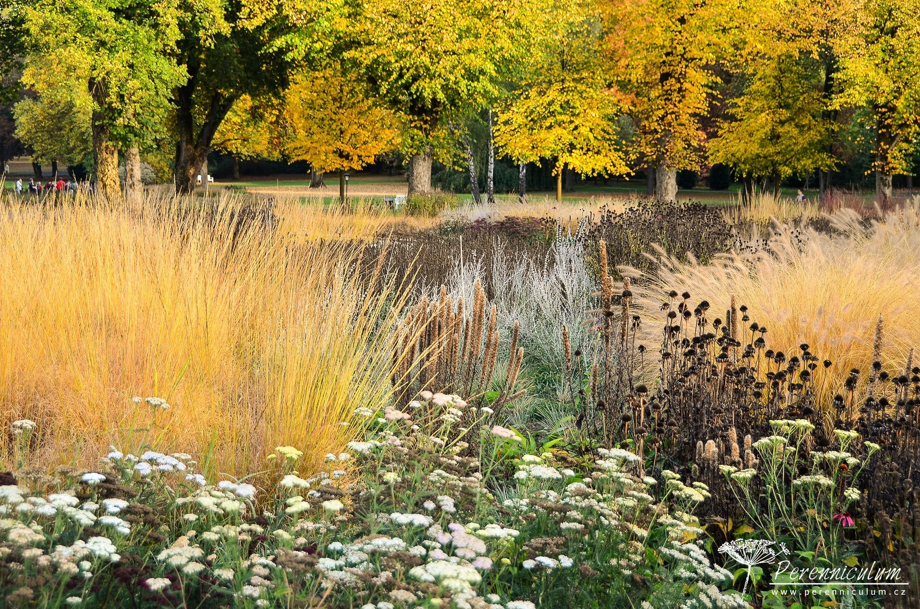 Podzimní výlet za Pietem Oudolfem 8 Graflicher park
