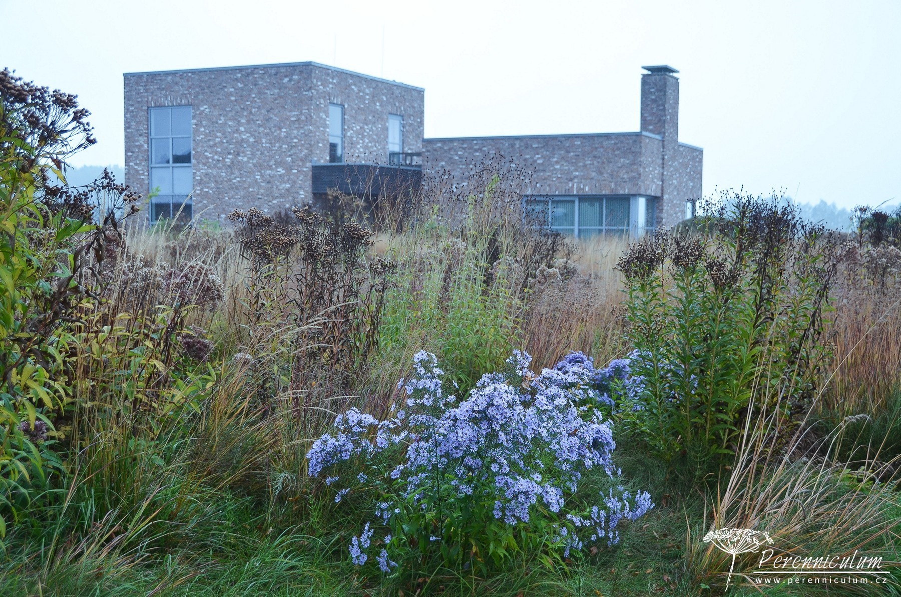 Podzimní výlet za Pietem Oudolfem 14 Piet Oudolf Hummelo 18