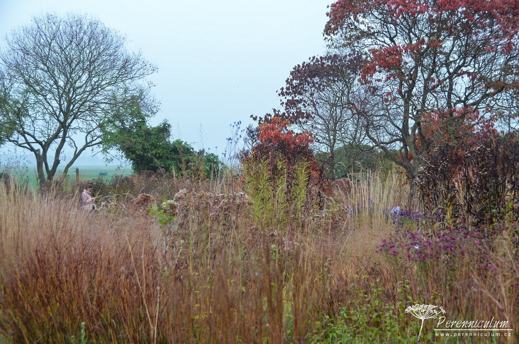 Podzimní výlet za Pietem Oudolfem 10 Piet Oudolf, Hummelo