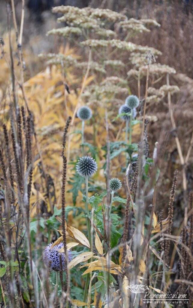 Podzimní výlet za Pietem Oudolfem 21 Piet Oudolf, Hummelo