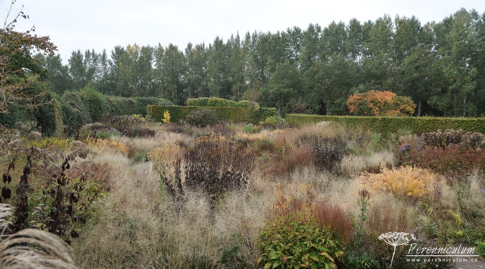 Podzimní výlet za Pietem Oudolfem 20 Piet Oudolf, Hummelo