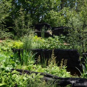 Chelsea Flower Show 2019