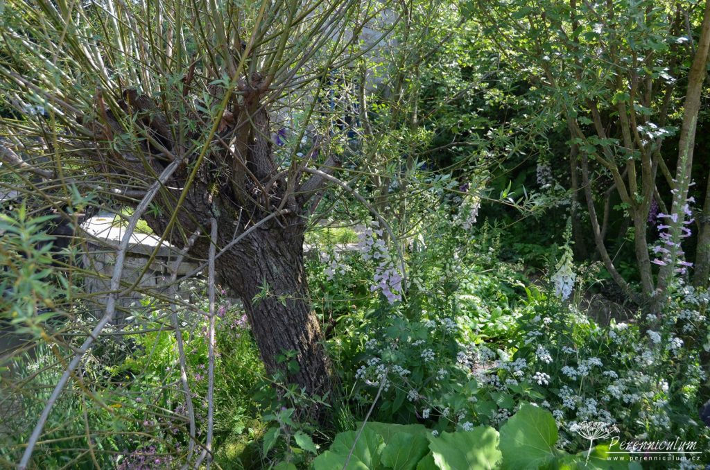 RHS Chelsea Flower Show 2019 5 The Welcome to Yorkshire Garden, Mark Gregory