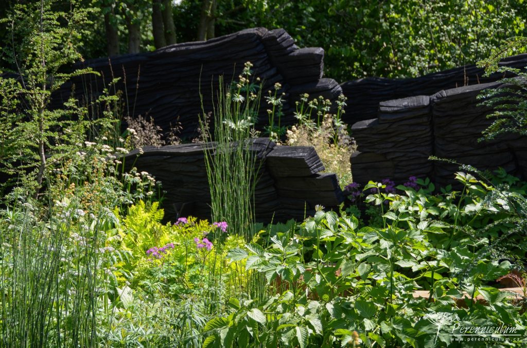 RHS Chelsea Flower Show 2019 2 M&G Garden, Andy Sturgeon