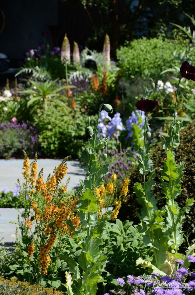 RHS Chelsea Flower Show 2019 10 The Morgan Stanley Garden, Chris Beardshaw
