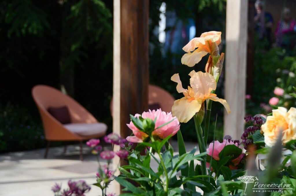 RHS Chelsea Flower Show 2019 14 The Wedgwood Garden, Jo Thompson