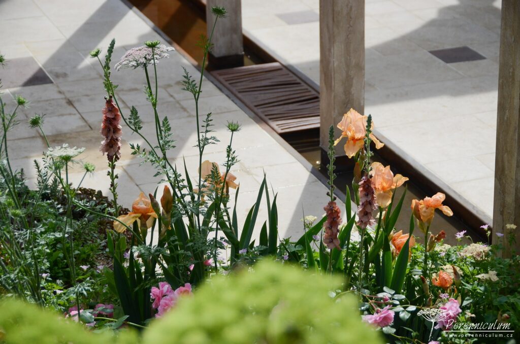 RHS Chelsea Flower Show 2019 15 The Wedgwood Garden, Jo Thompson