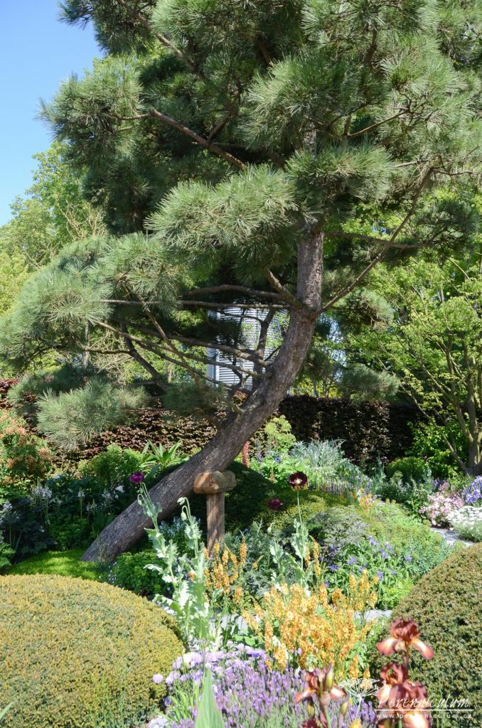 RHS Chelsea Flower Show 2019 11 The Morgan Stanley Garden, Chris Beardshaw