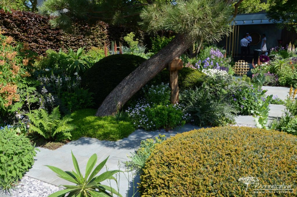 RHS Chelsea Flower Show 2019 8 The Morgan Stanley Garden, Chris Beardshaw