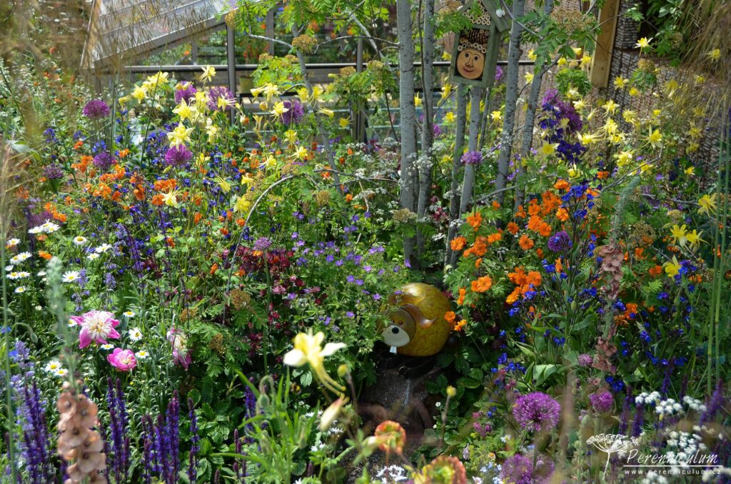 RHS Chelsea Flower Show 2019 22 The Montessori Centenary Children’s Garden, Jody Lidgard