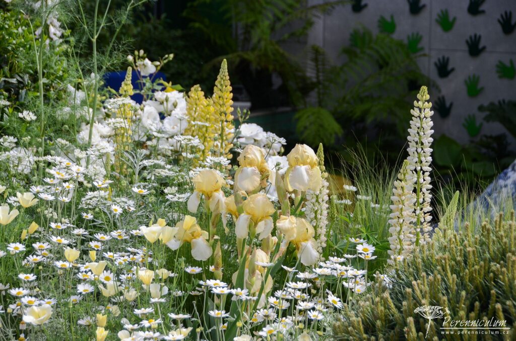 RHS Chelsea Flower Show 2019 24 The Greenfingers Charity Garden, Kate Gould