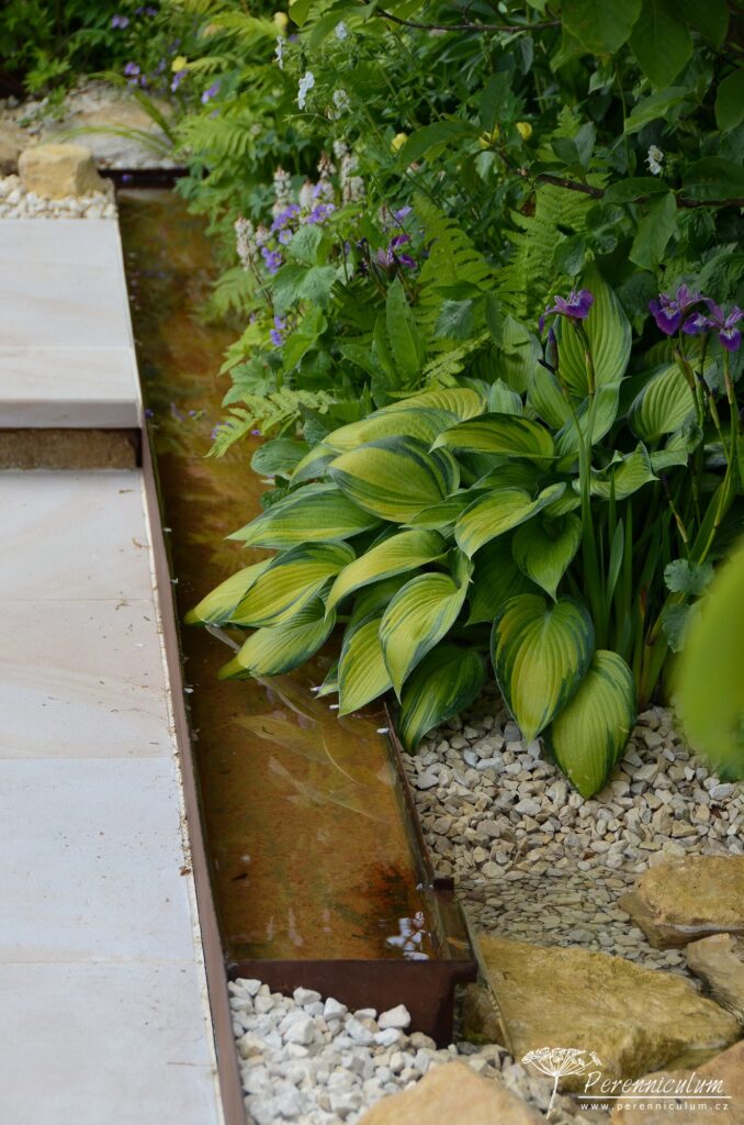 RHS Chelsea Flower Show 2019 27 Kampo no Niwa, Kazuto Kashiwakura and Miki Sato