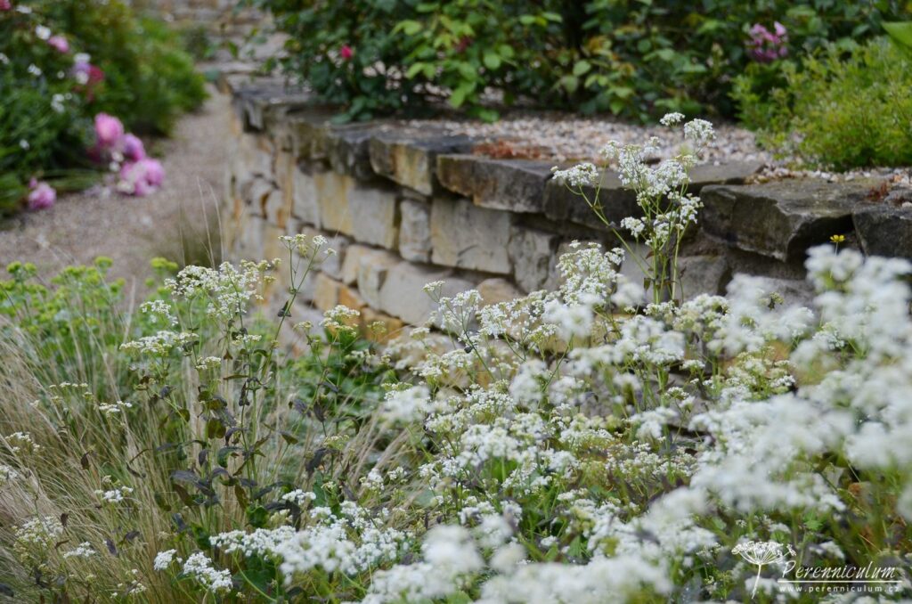 Rozevlátá zahrada s nádechem staré Anglie 13 Soukroma zahrada Libusin 14