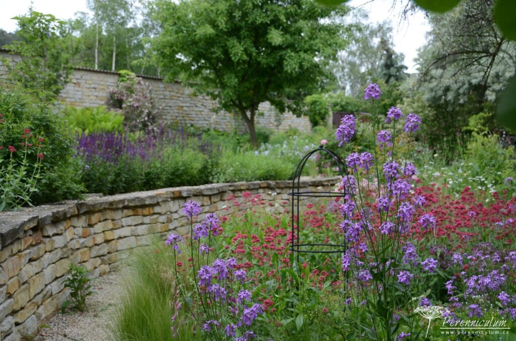 Rozevlátá zahrada s nádechem staré Anglie 2 Nízká opěrná zídka pěkně člení prostor a nabízí jiné pohledy na trvalkové záhony. Štěrková cestička vede dole podél zídky.