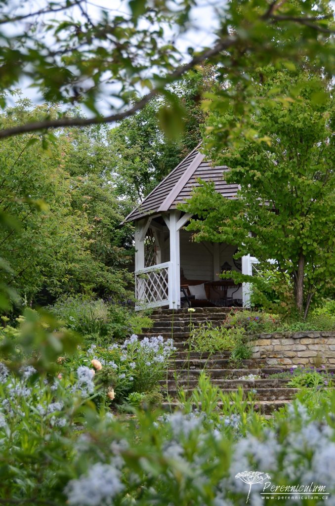 Rozevlátá zahrada s nádechem staré Anglie 3 Altánek na vrcholku zahrady střeží zmarličník japonský, který voní po čerstvě upečených buchtách.