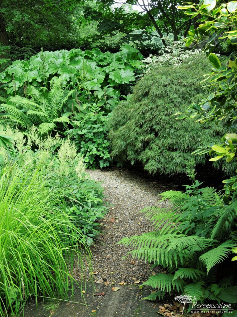 Malá zahrada tisíce překvapení 5 Mala zahrada tisice prekvapeni York Gate 20