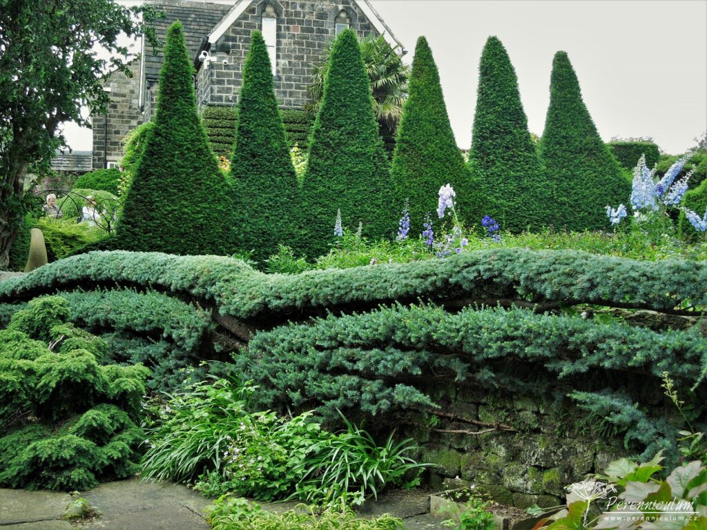 Malá zahrada tisíce překvapení 2 Mala zahrada tisice prekvapeni York Gate 21