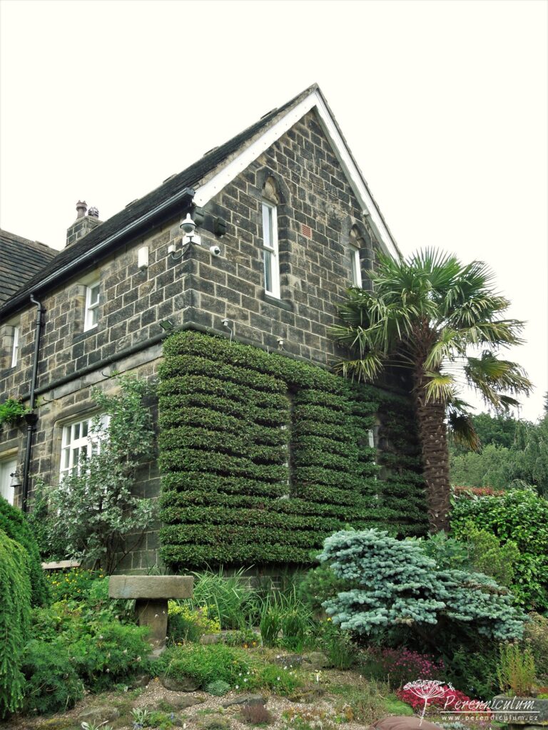 Malá zahrada tisíce překvapení 3 Mala zahrada tisice prekvapeni York Gate 34