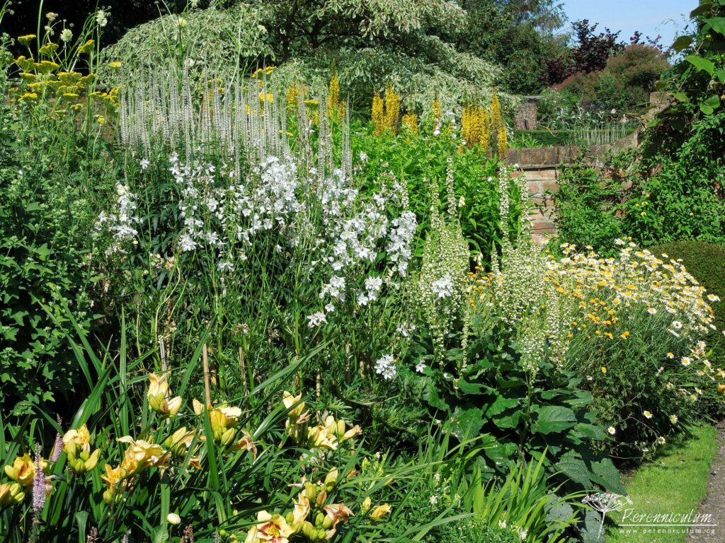 Cestou vzpomínek - Wollerton Old Hall 11 Wollerton Hall 18