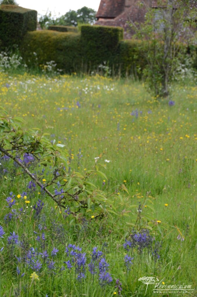 Legenda mezi anglickými zahradami - Great Dixter 4 40 Great Dixter 05
