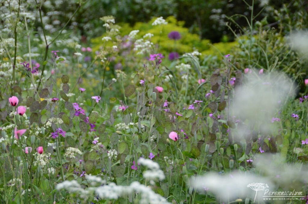 Legenda mezi anglickými zahradami - Great Dixter 6 40 Great Dixter 22
