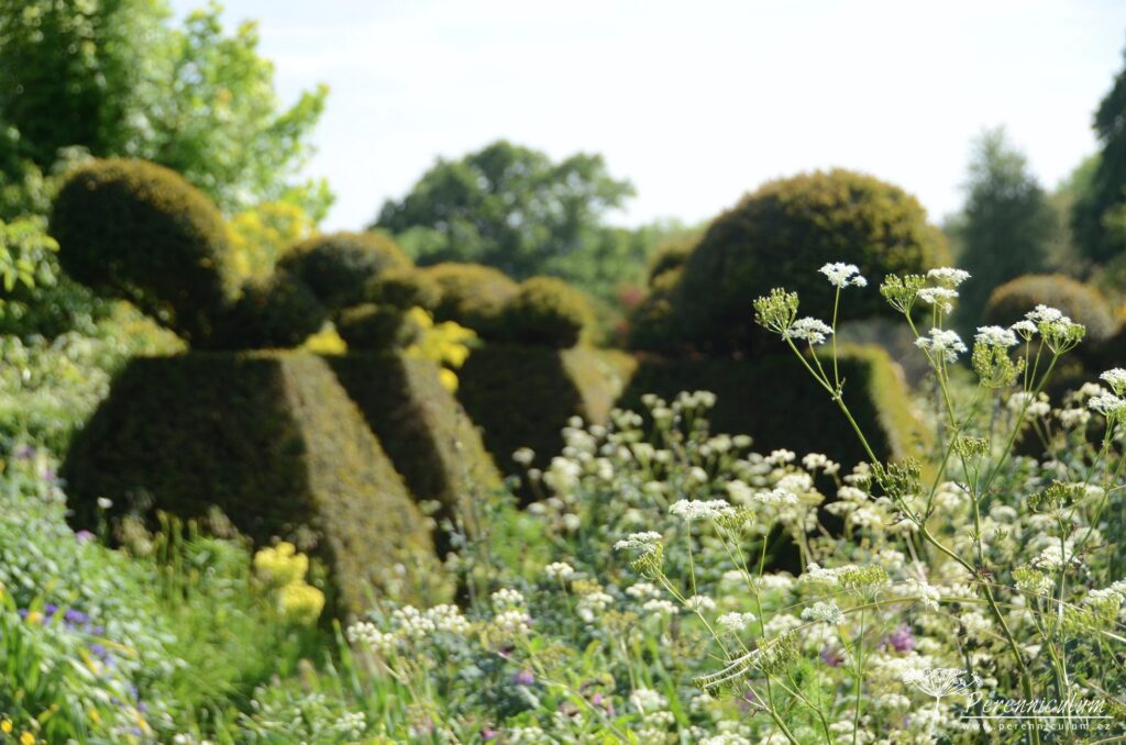 Legenda mezi anglickými zahradami - Great Dixter 18 40 Great Dixter 59